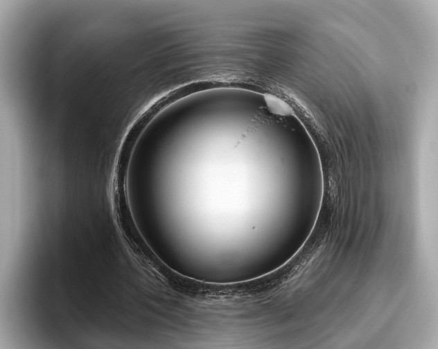 X0000096630532200802051109