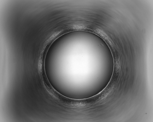 X0000096630533200802051109