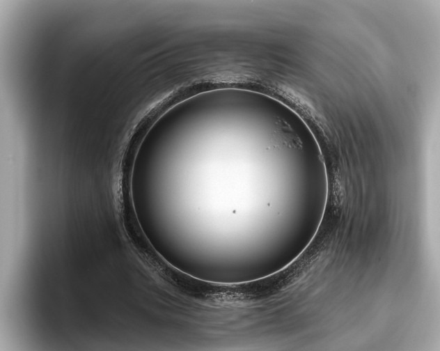 X0000096630535200802051109