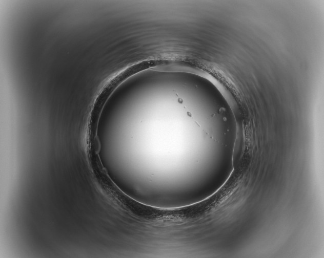 X0000096630536200802051109