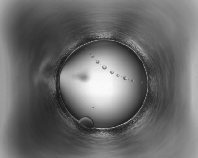 X0000096630537200802051109