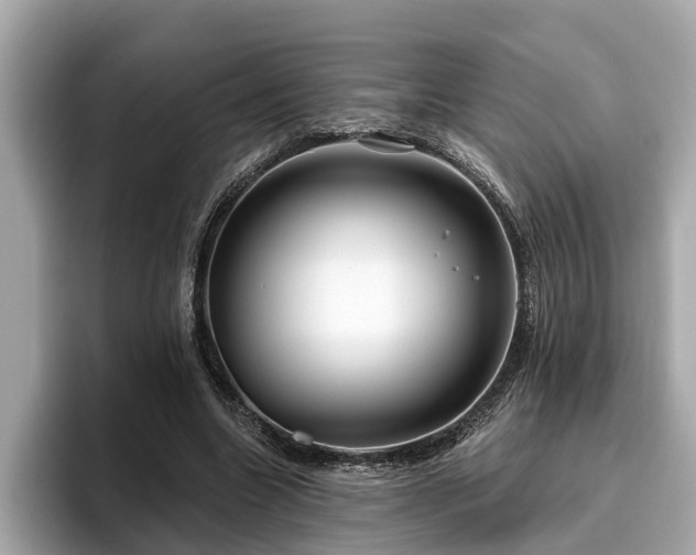 X0000096630538200802051109