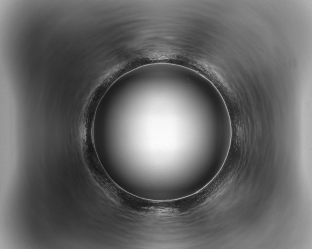 X0000096630539200802051109