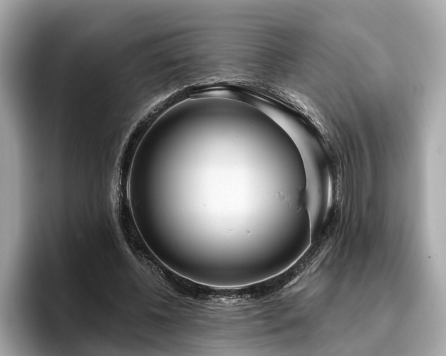 X0000096630540200802051109