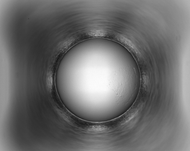 X0000096630541200802051109