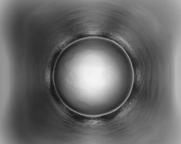 X0000096630542200802051109