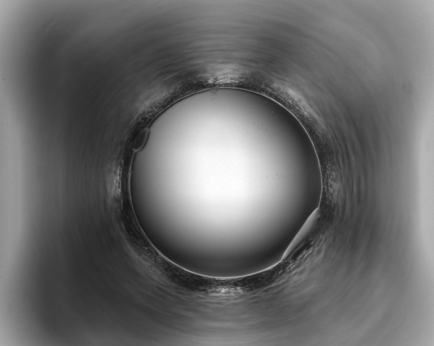 X0000096630543200802051109