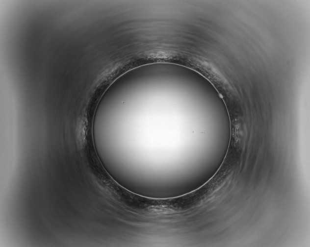X0000096630544200802051109