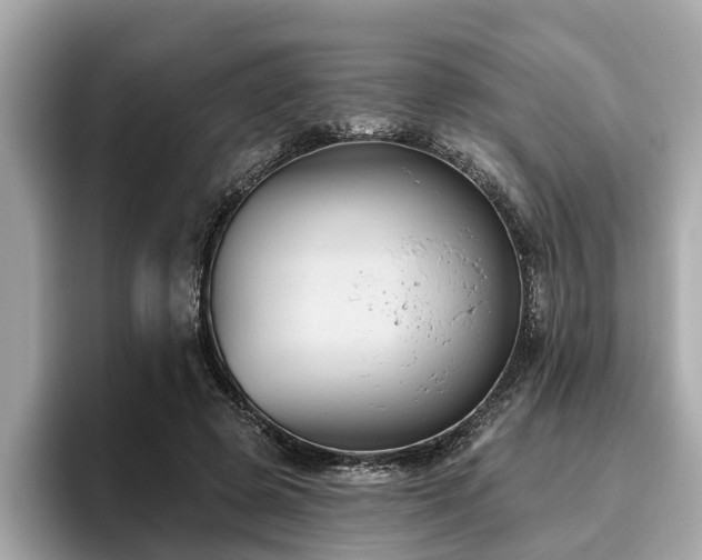 X0000096630545200802051109