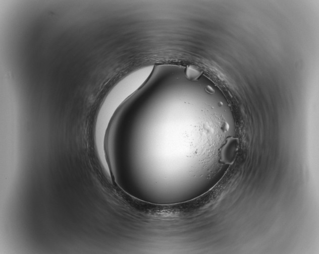 X0000096630546200802051109