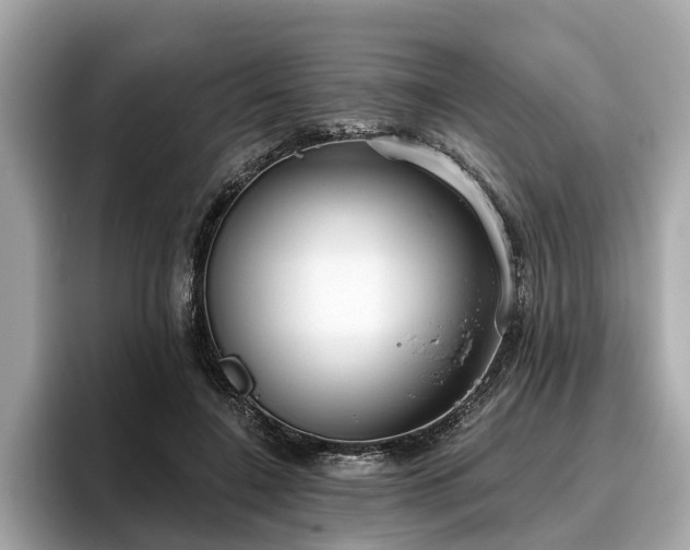 X0000096630548200802051109