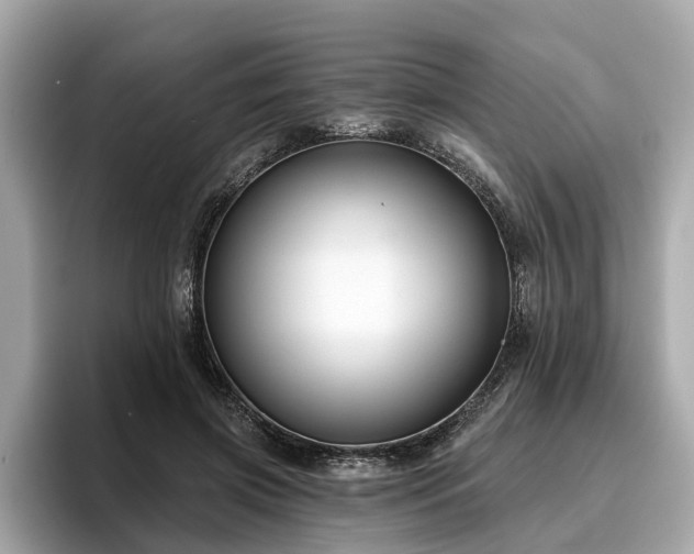 X0000096630549200802051109