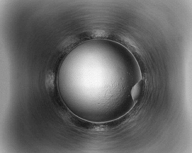 X0000096630550200802051109