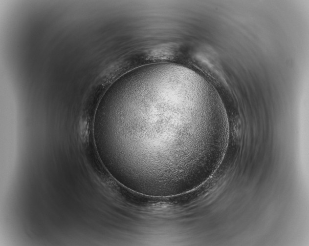 X0000096630551200802051109