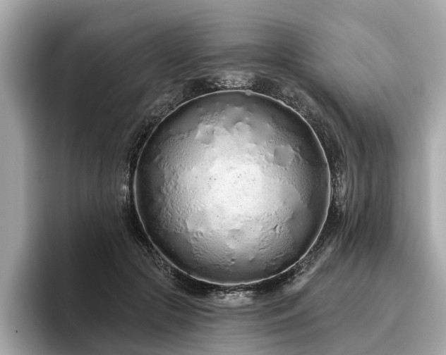 X0000096630553200802051109