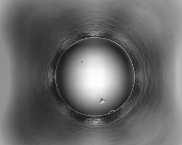 X0000096630554200802051109