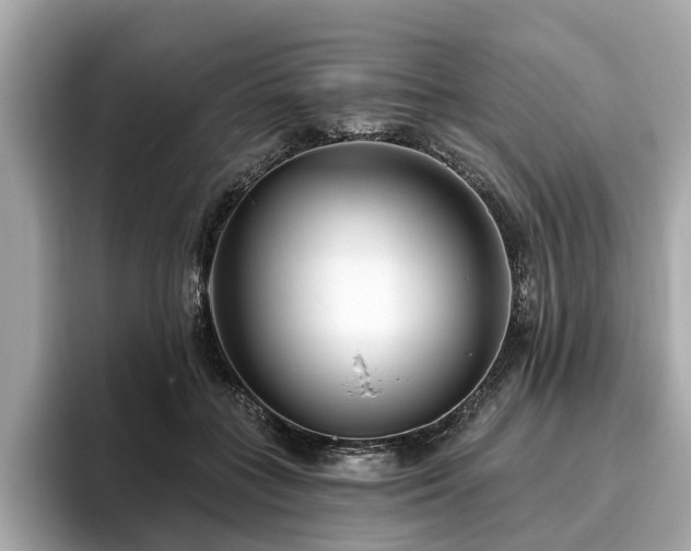 X0000096630555200802051109