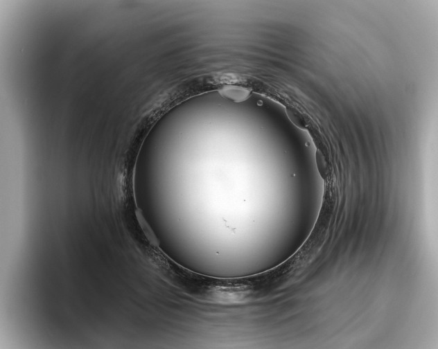 X0000096630556200802051109