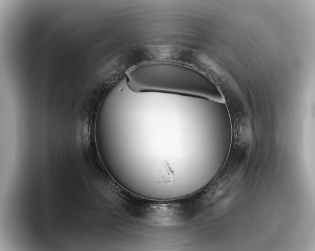 X0000096630558200802051109