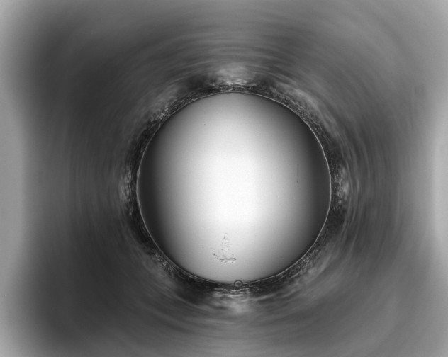 X0000096630559200802051109