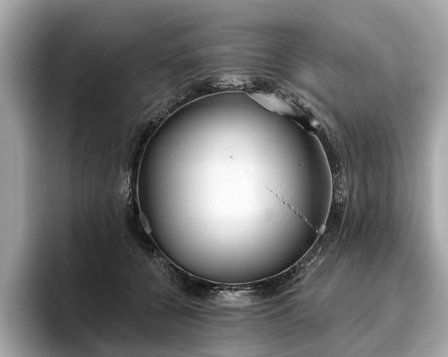 X0000096630560200802051109