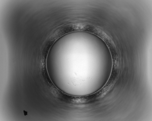 X0000096630561200802051109