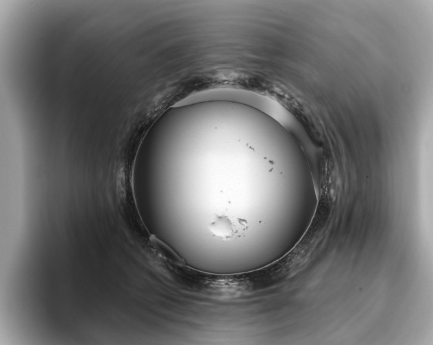 X0000096630562200802051109