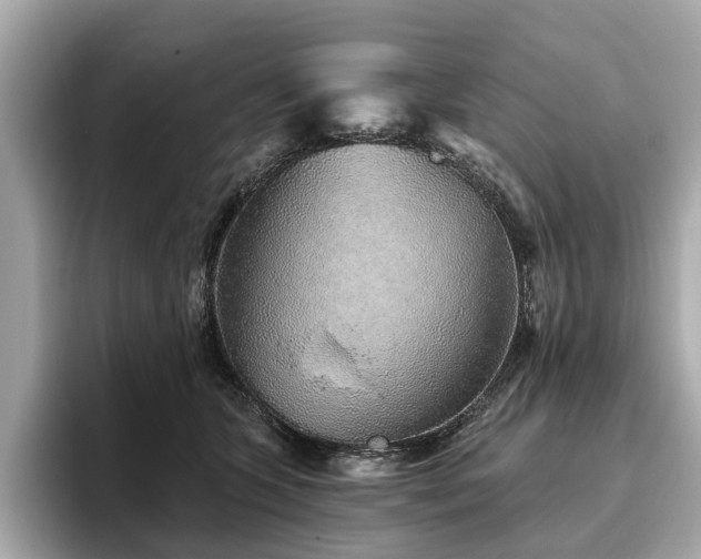X0000096630563200802051109