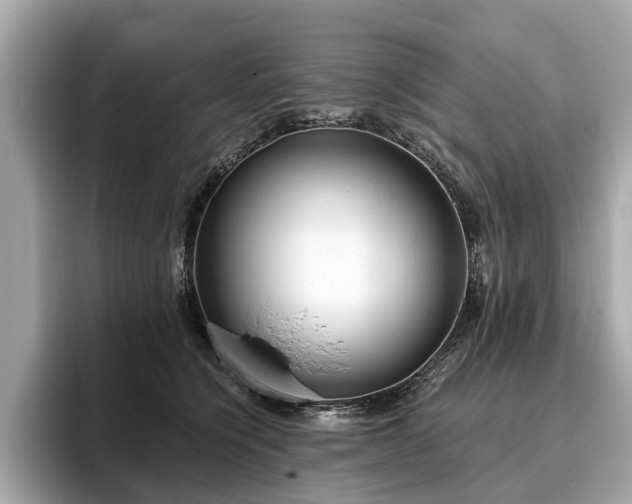 X0000096630564200802051109