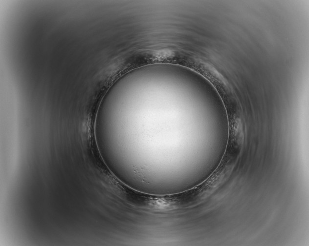 X0000096630565200802051109