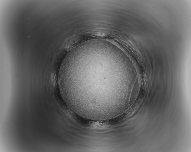 X0000096630568200802051109