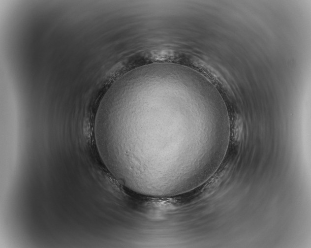 X0000096630569200802051109