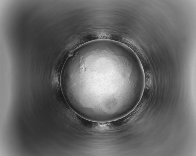 X0000096630573200802051109