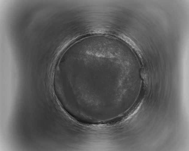 X0000096630577200802051109