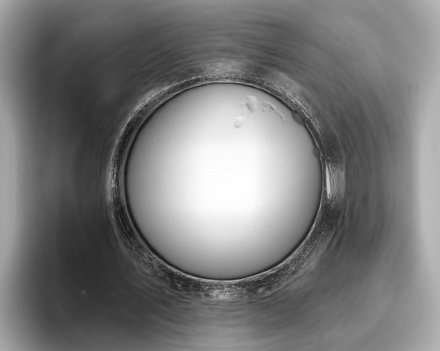 X0000096630579200802051109