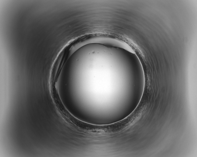 X0000096630580200802051109