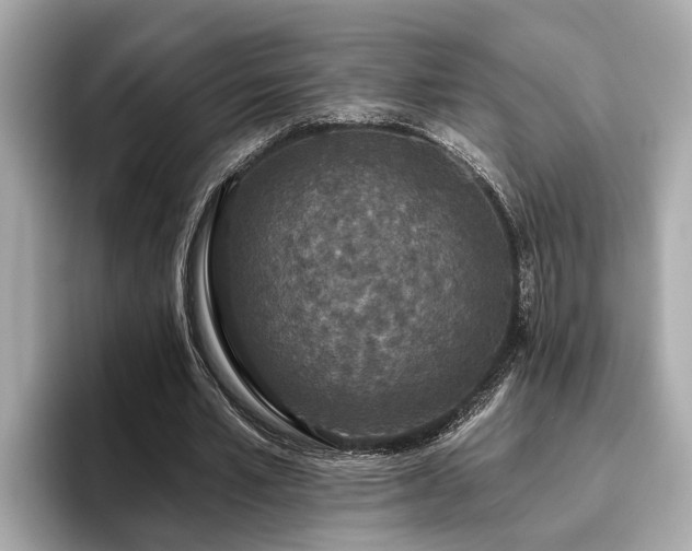X0000096630581200802051109