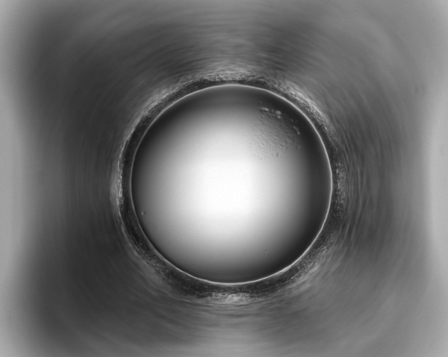 X0000096630582200802051109