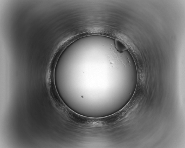 X0000096630583200802051109