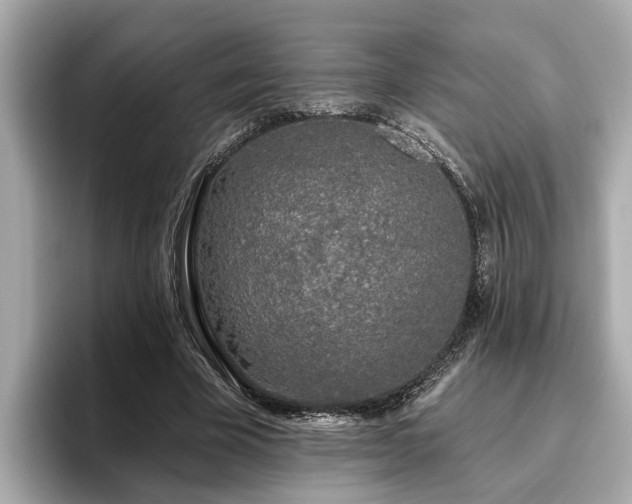 X0000096630585200802051109