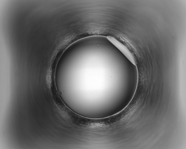 X0000096630586200802051109