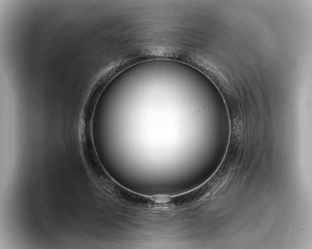 X0000096630587200802051109