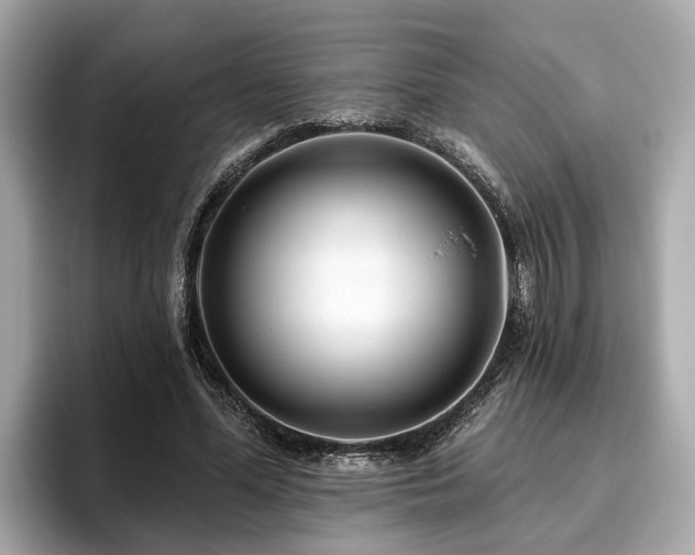 X0000096630588200802051109
