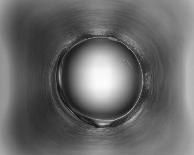 X0000096630589200802051109