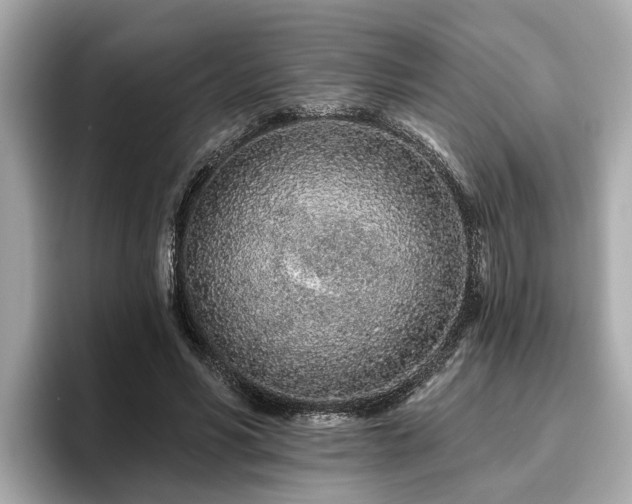 X0000096630590200802051109