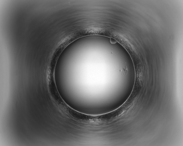 X0000096630591200802051109