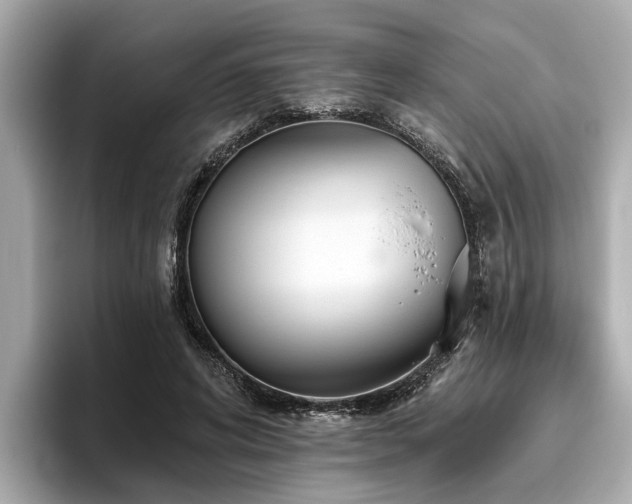 X0000096630592200802051108