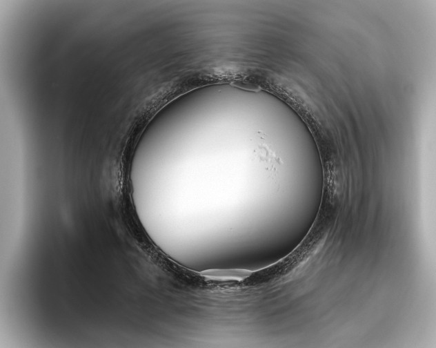 X0000096630593200802051108