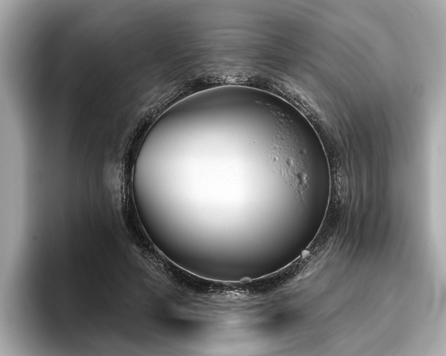 X0000096630594200802051108
