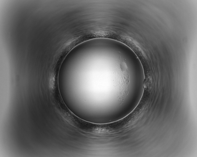 X0000096630596200802051108